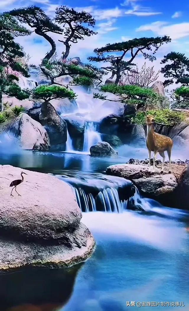 探秘《中华小当家》里,阿星最经典的对局是哪一次?,发现精彩红迪网世界